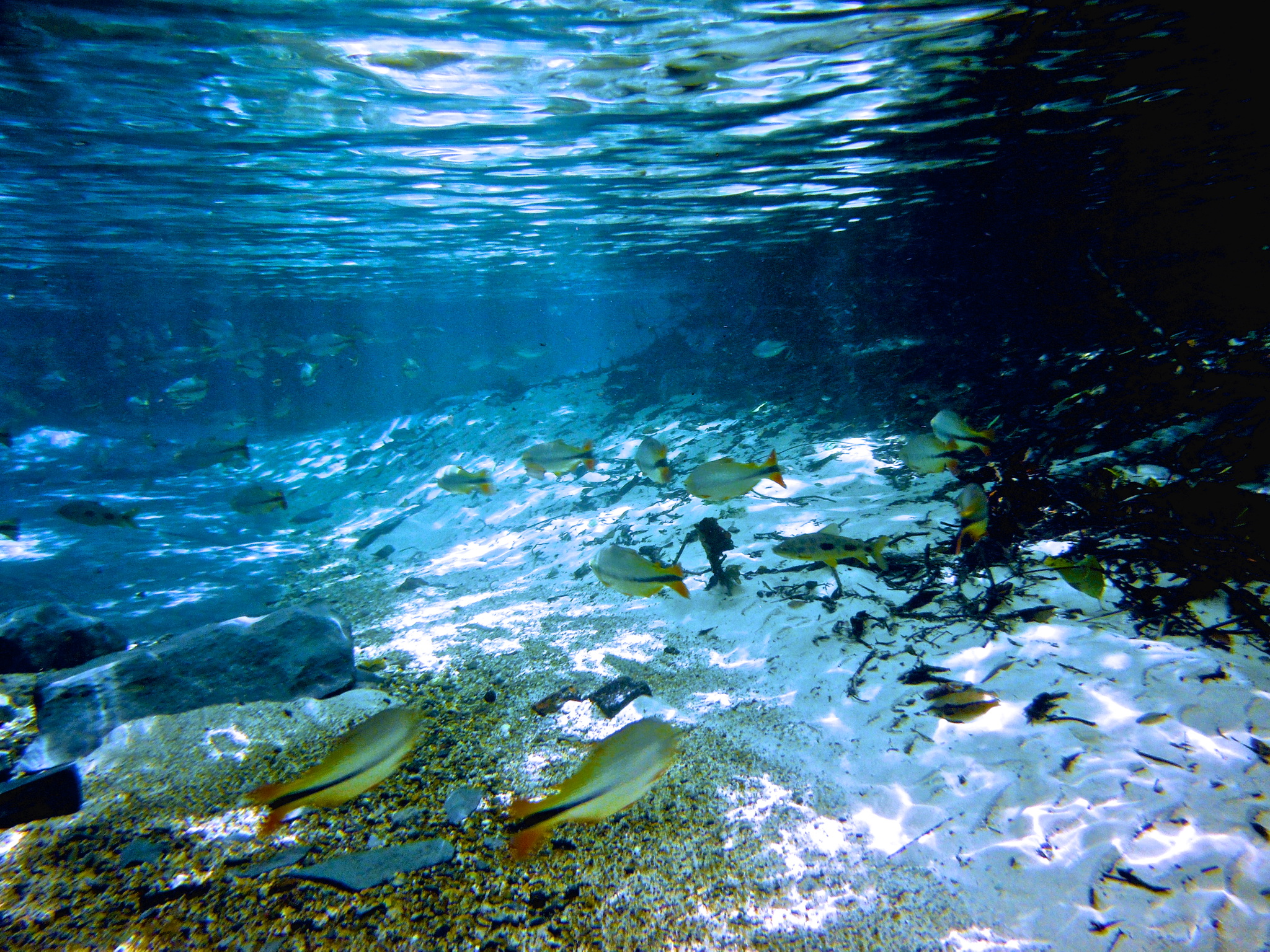 Imagem da galeria 11