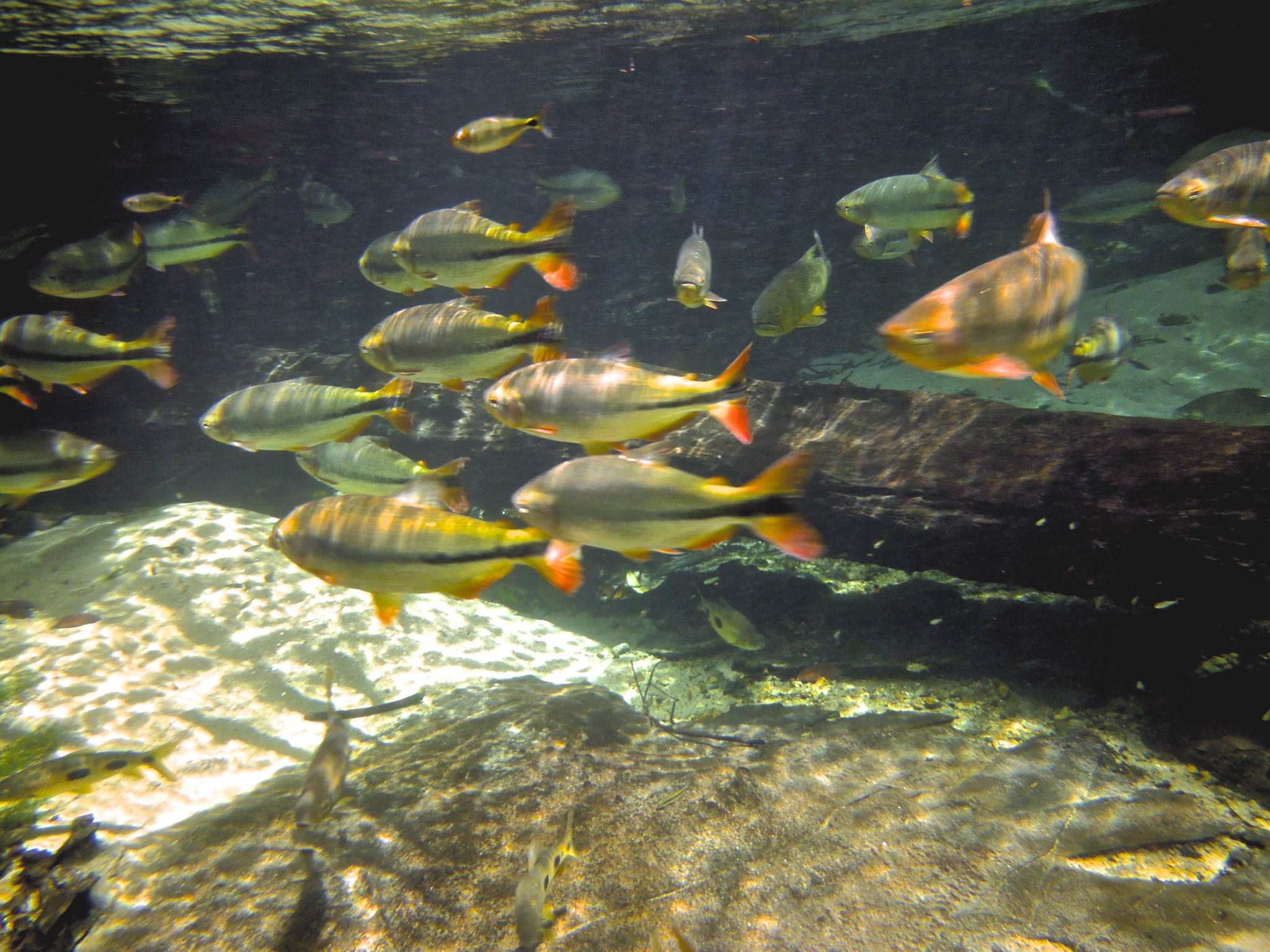 Imagem da galeria 10