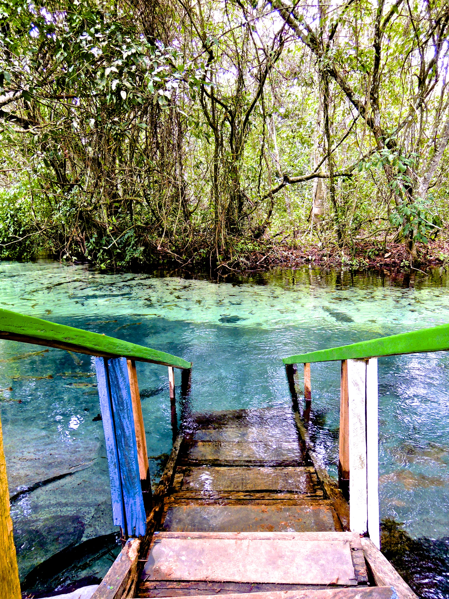 Imagem da galeria 18