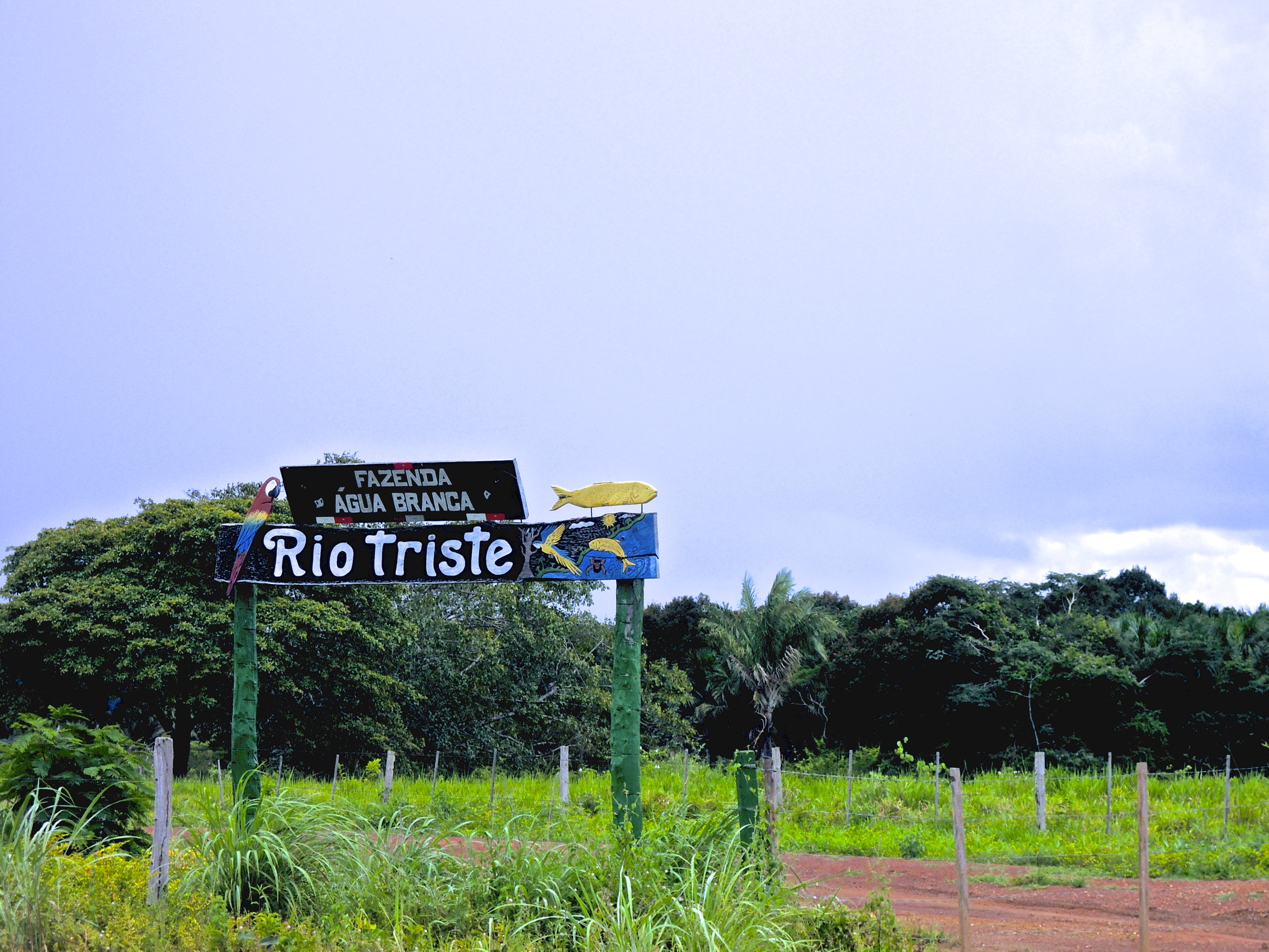 Imagem da galeria 20