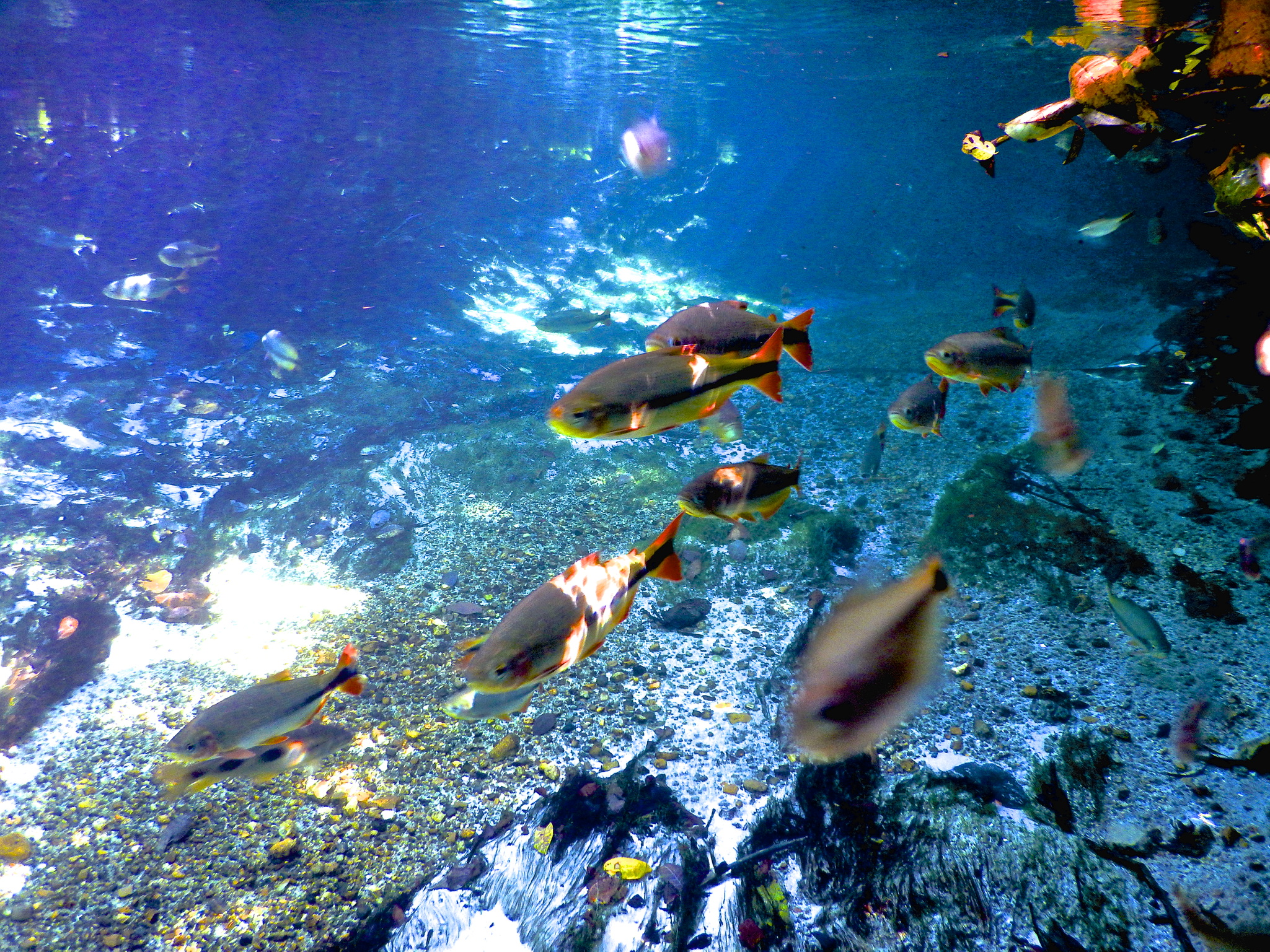 Imagem da galeria 16