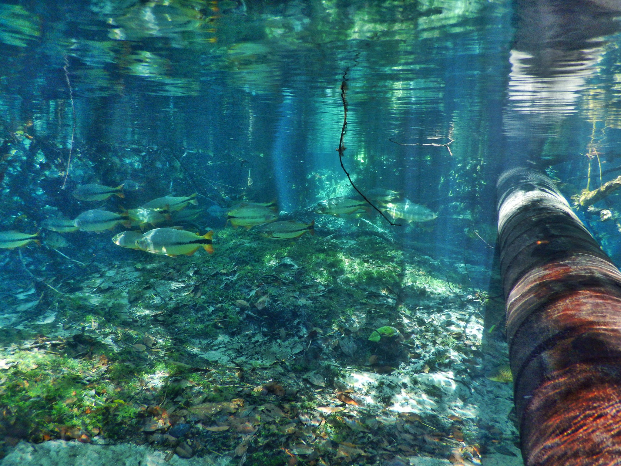 Imagem da galeria 17